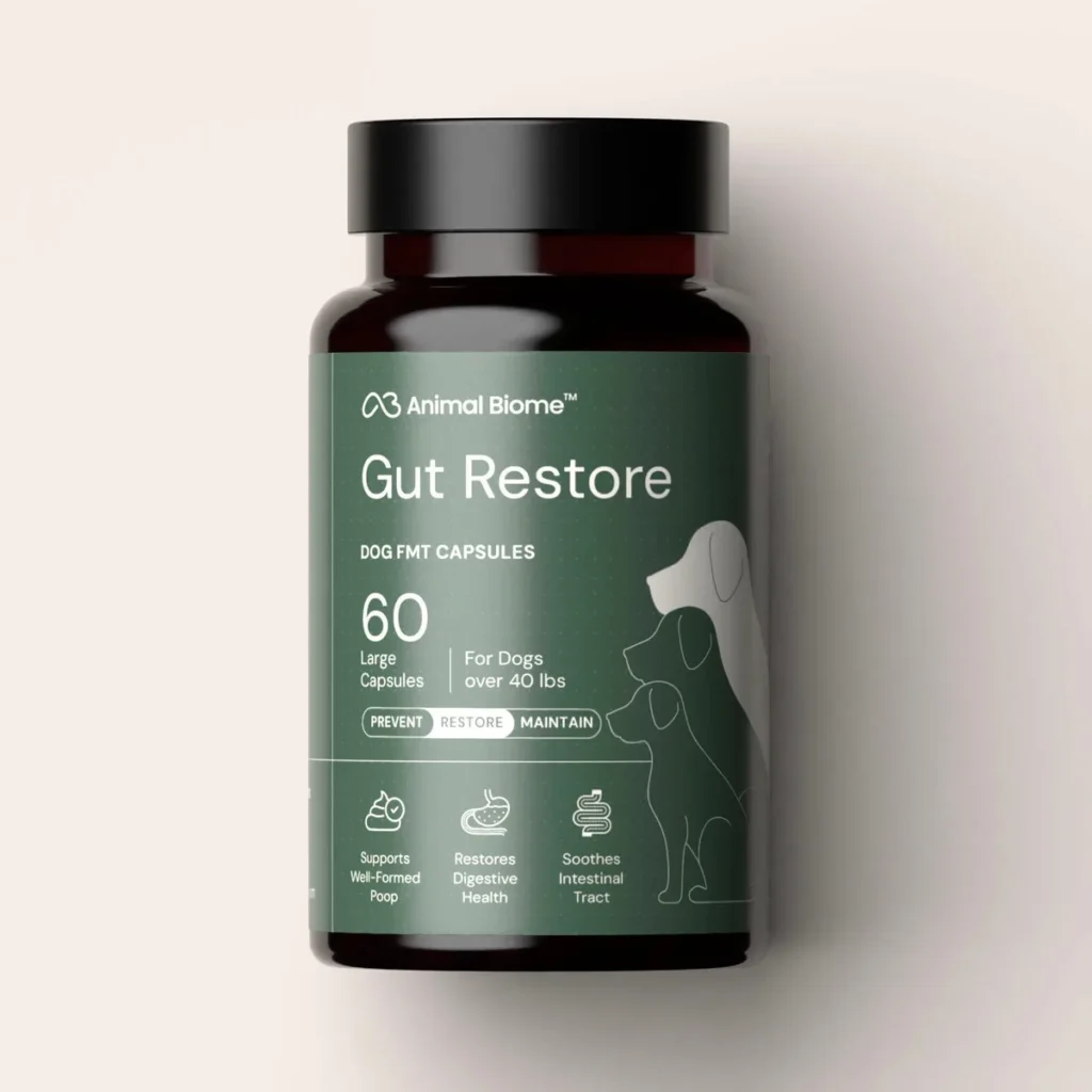 Leaky Gut in Dogs: Signs, Causes, and Support