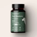 Dog Diarrhea After Antibiotics: Gut Recovery