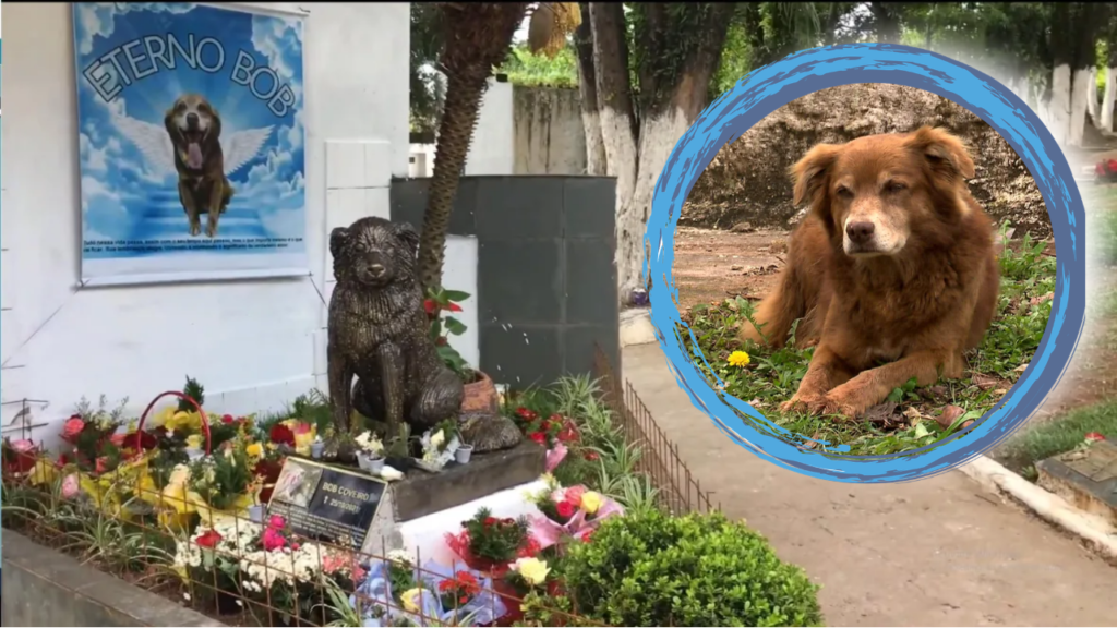 Till Death and Beyond: How One Dog’s Loyalty Inspired a Law for Eternal Companionship — Dogster