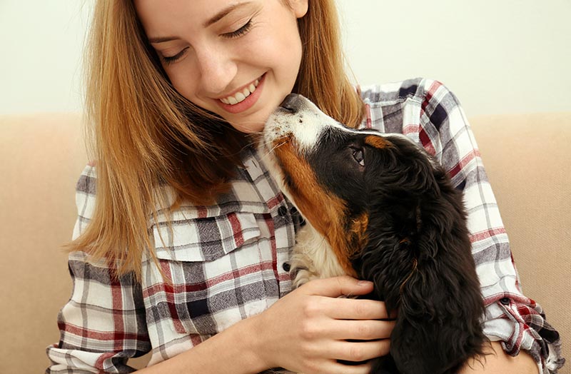 Why Mental Stimulation Is Crucial for Dogs: 6 Vet-Approved Reasons — Dogster