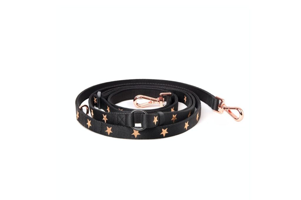 Best Dog Leash for City Walks: Top 5 Picks (2026)