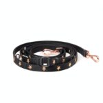 Best Dog Leash for City Walks: Top 5 Picks (2026)