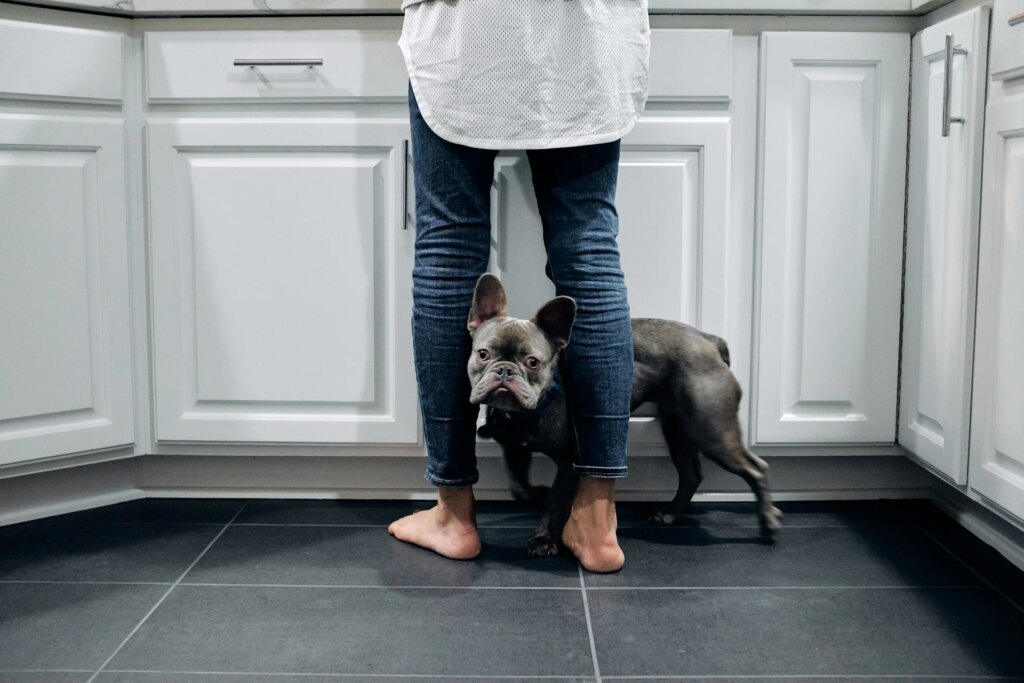 Why Does My Dog Press Against Me? The Meaning Behind “The Lean”