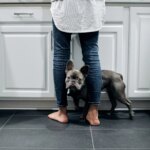 Why Does My Dog Press Against Me? The Meaning Behind “The Lean”