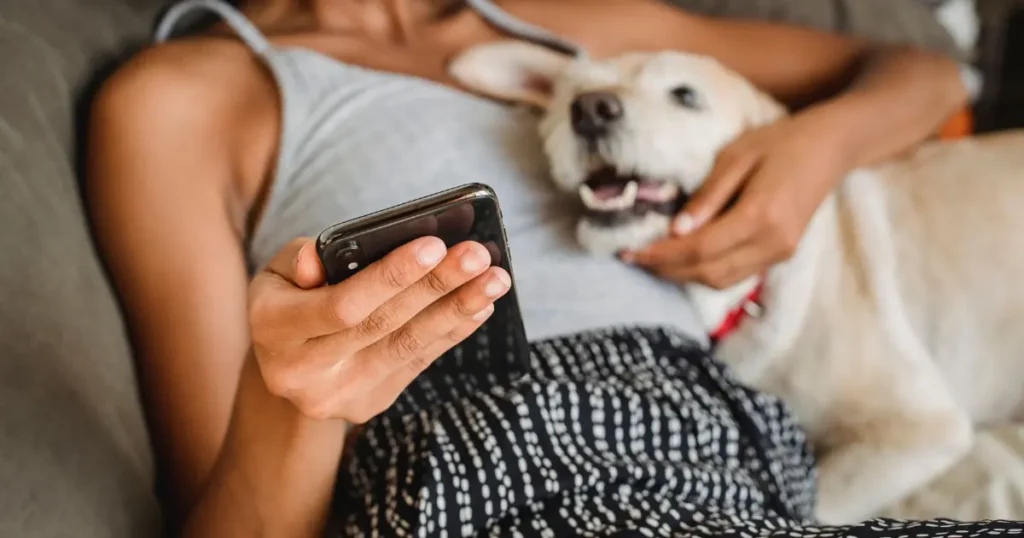 Can You Trust the Sound Bite Animal Training Advice You See Online?