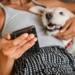 Can You Trust the Sound Bite Animal Training Advice You See Online?