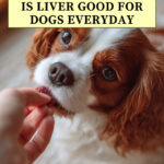 Is Liver Good for Dogs Everyday? Learn the risks.