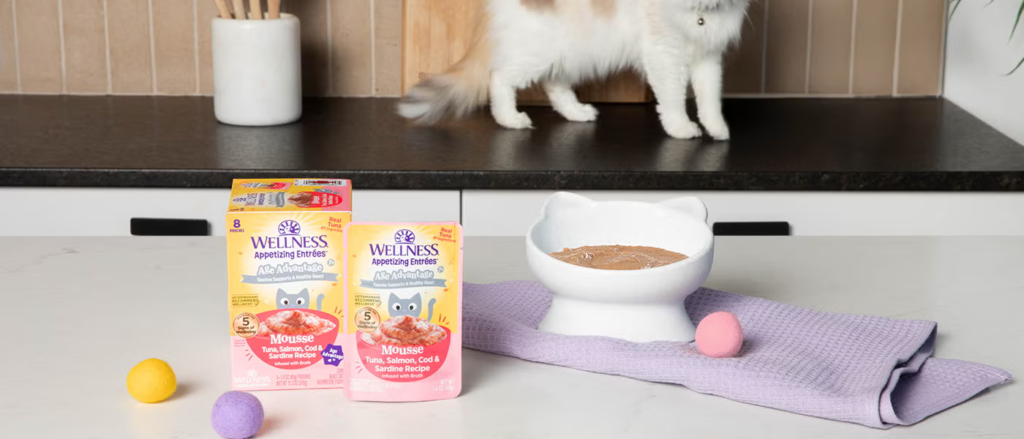 Nutrients for Cat Cognitive & Joint Health