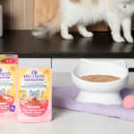 Nutrients for Cat Cognitive & Joint Health