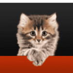 Is There A Cat Food Advisor Website?