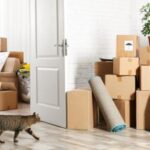 How to Make Moving With Your Cat Less Stressful