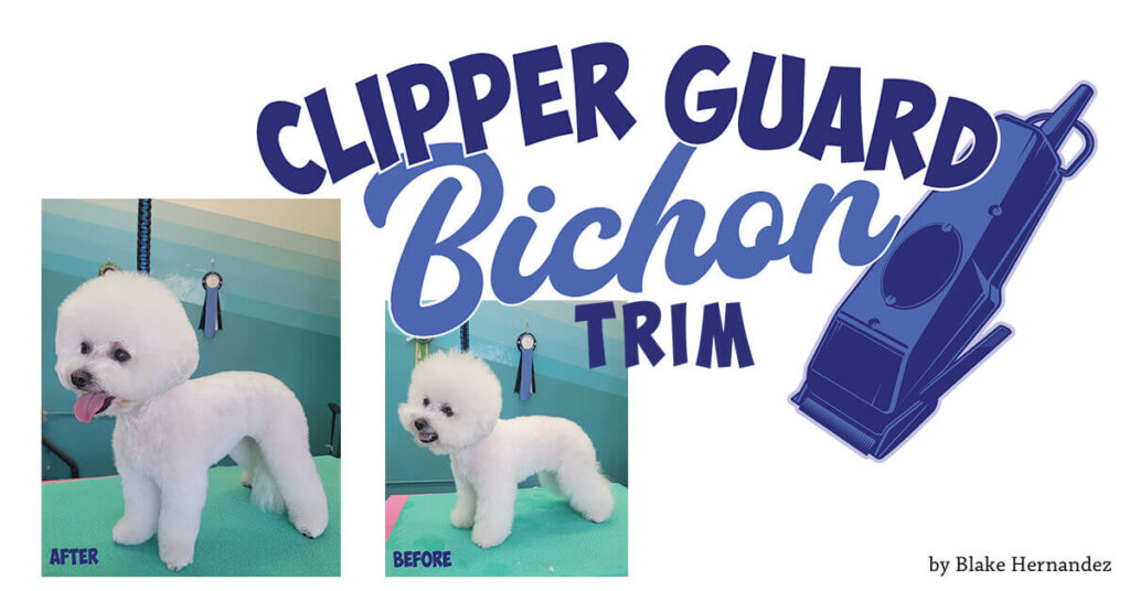 Clipper Guard Bichon Trim – Groomer to Groomer