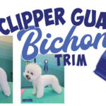Clipper Guard Bichon Trim – Groomer to Groomer