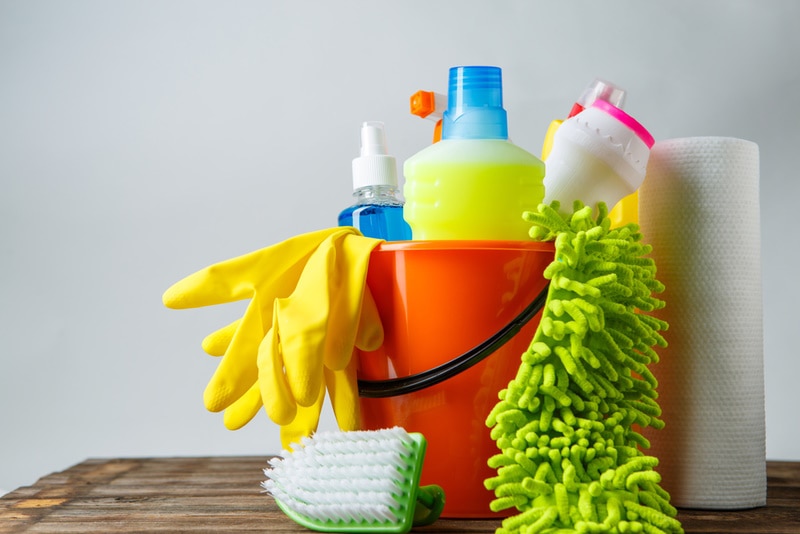 Hidden Dangers at Home: The Everyday Items That Are Secretly Poisonous to Dogs — Dogster