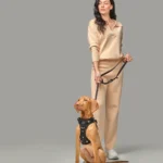 Leash Training a Puppy: Step-by-Step Guide