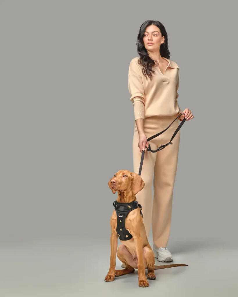 Leash Training a Puppy: Step-by-Step Guide