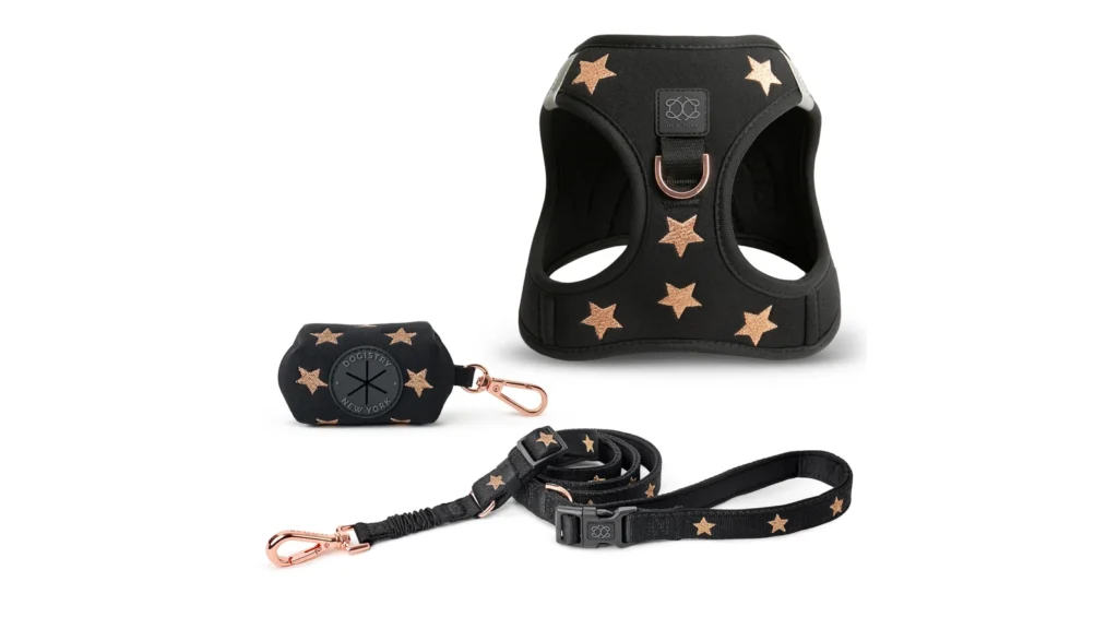 DOGISTRY Review: Is the Rockstar Set Worth It?
