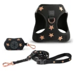 DOGISTRY Review: Is the Rockstar Set Worth It?