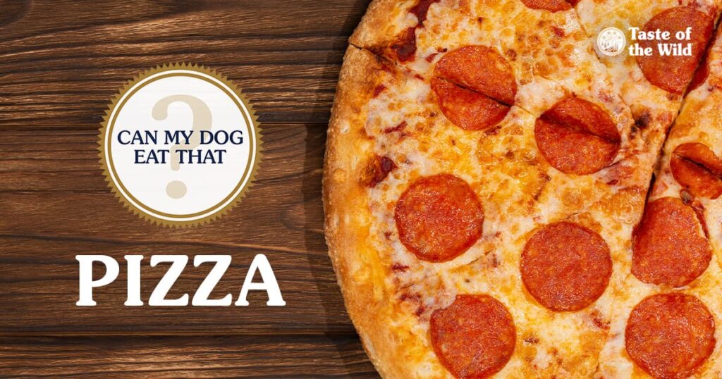 Can My Dog Eat Pizza? A Safety Guide