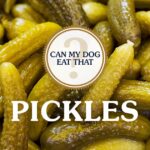 Can Dogs Eat Pickles? A Safety Guide