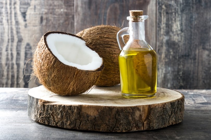 Coconut Oil for Dogs: Benefits, Uses, and Risks