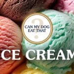 Can Dogs Eat Ice Cream? A Safety Guide