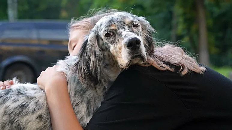 10 Regretful Mistakes That Dog Parents Often Make