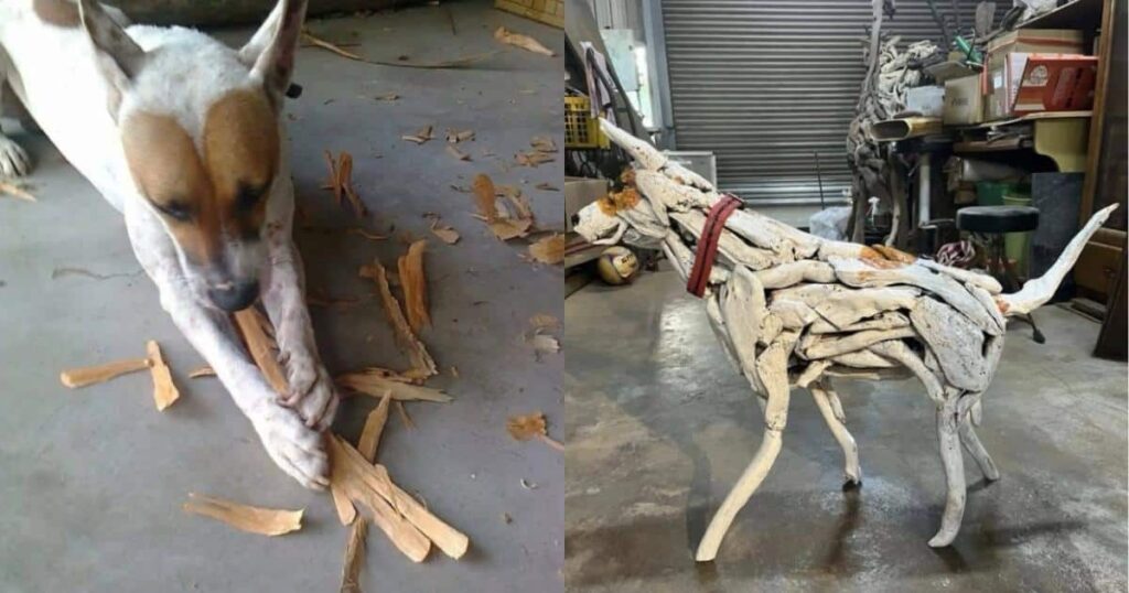 Artist Honors His Late Dog With Driftwood They Collected Together