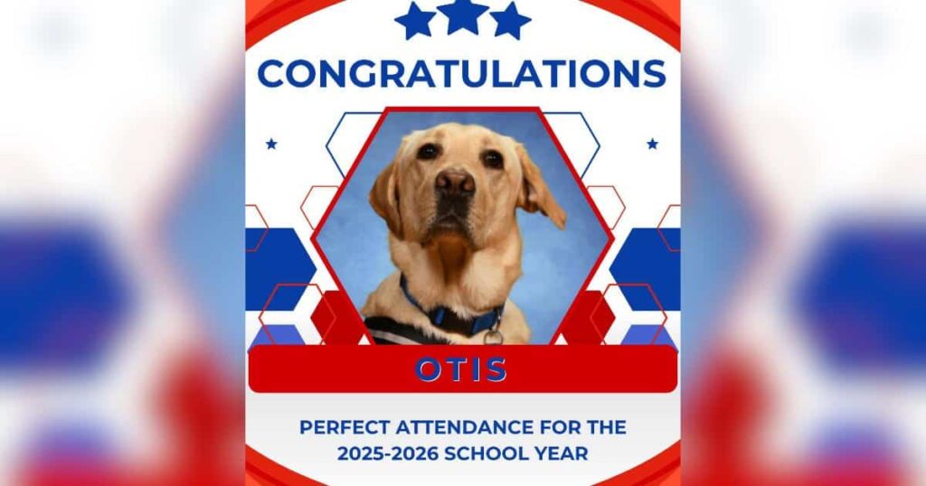 Therapy Dog Celebrated For a Year of Perfect School Attendance