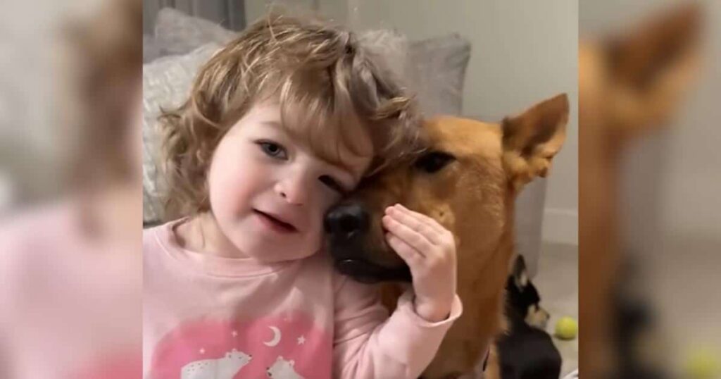 Shelter Called Her ‘Unadoptable.’ The Right Family Proved Everyone Wrong.