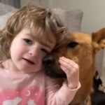 Shelter Called Her ‘Unadoptable.’ The Right Family Proved Everyone Wrong.