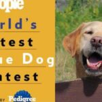PEOPLE Announces Return of World’s Cutest Rescue Dog Contest
