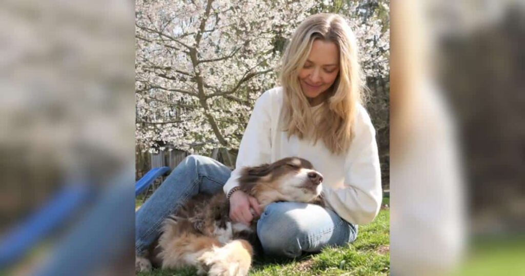 Amanda Seyfried Mourns Beloved Dog Finn With Heartfelt Tribute