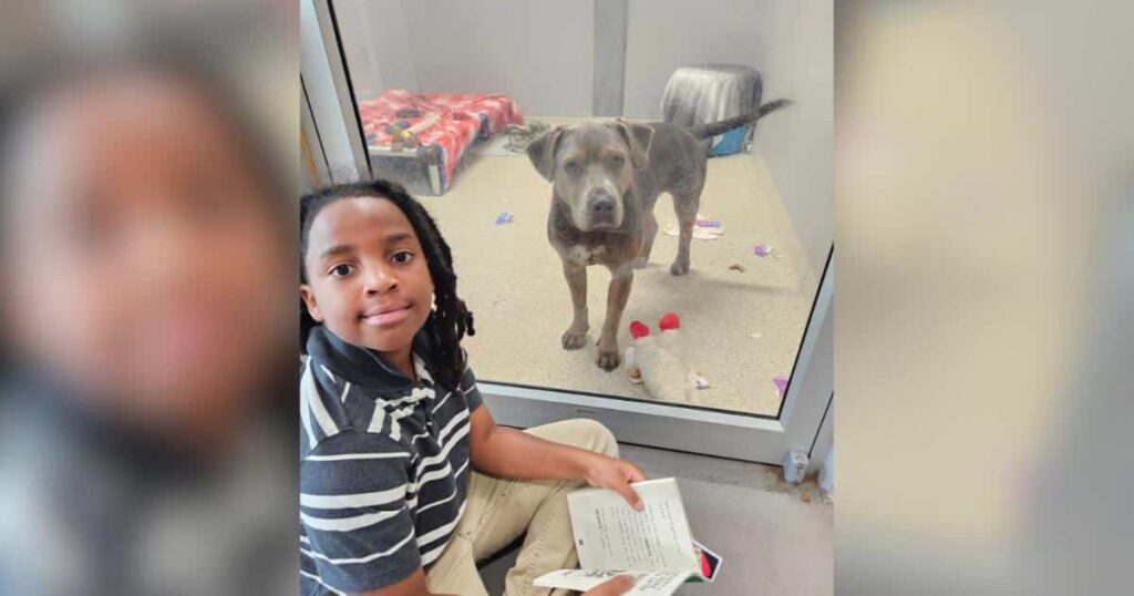 11-Year-Old Spent 100 Hours Reading to Shelter Dogs for the Sweetest Reason