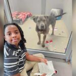 11-Year-Old Spent 100 Hours Reading to Shelter Dogs for the Sweetest Reason
