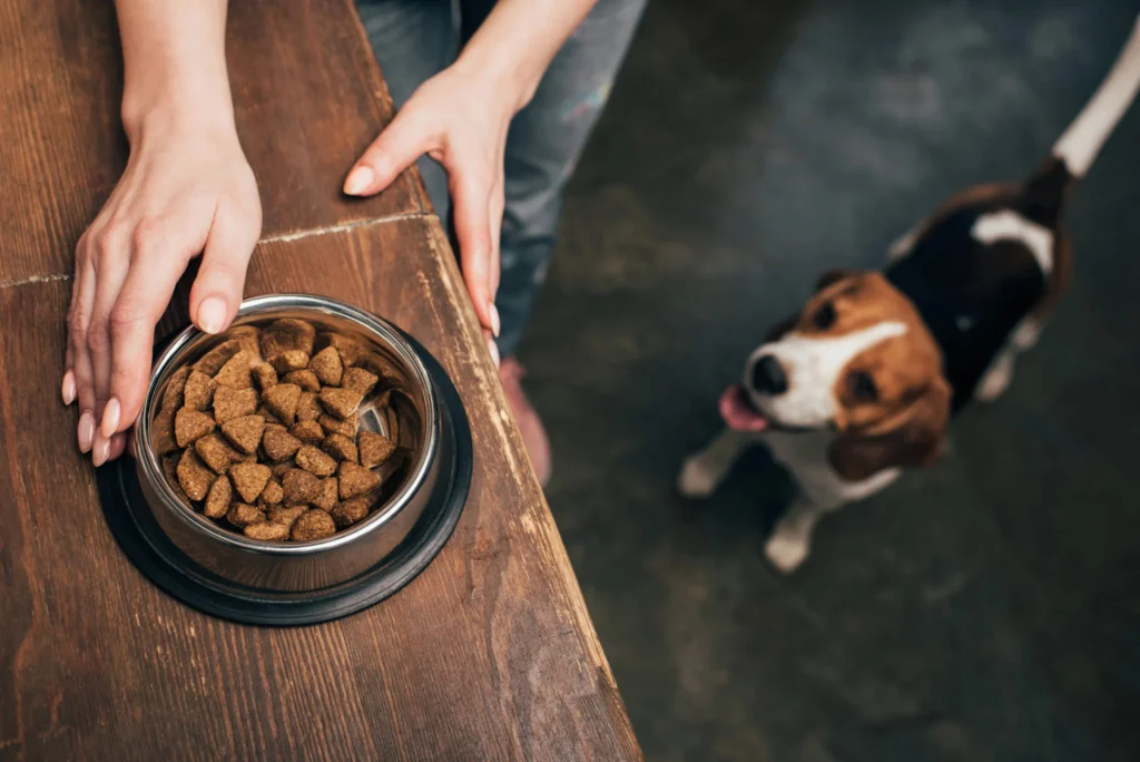The Right Time To Stop Feeding Puppy Food Isn’t What Most Owners Think