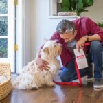 Select pet medications now available at CVS Pharmacy