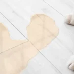 When Bathroom Breaks Become a Red Flag