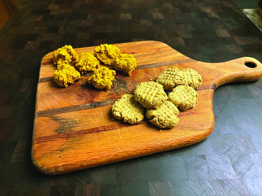 Yummy Three-Ingredient Dog Treats – Whole Dog Journal