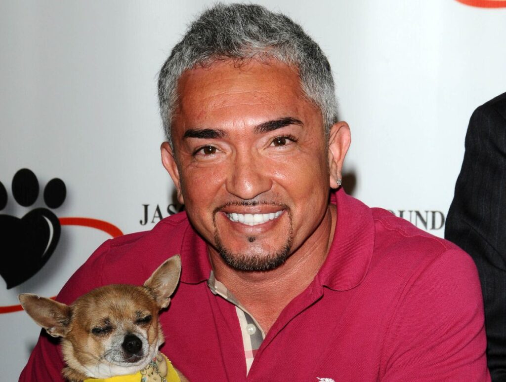Cesar Millan Review: A Certified Behaviorist’s Thoughts