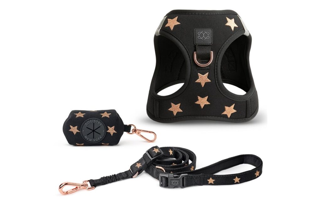 DOGISTRY Harness Review: Is It Worth It? (2026)