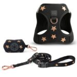 DOGISTRY Harness Review: Is It Worth It? (2026)