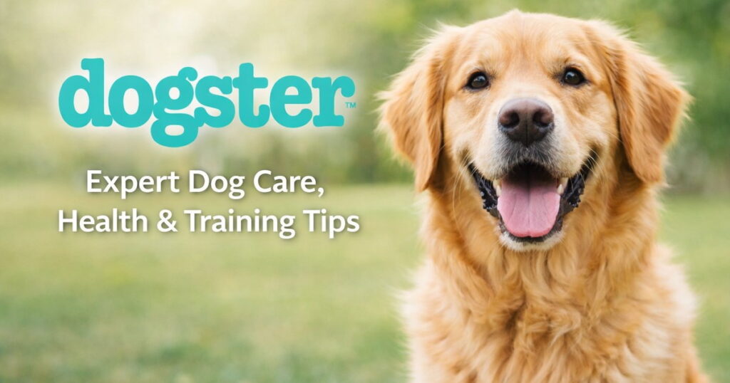10 Best Dog Foods for Active Dogs in 2026