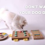 Don’t Walk Your Dog Day