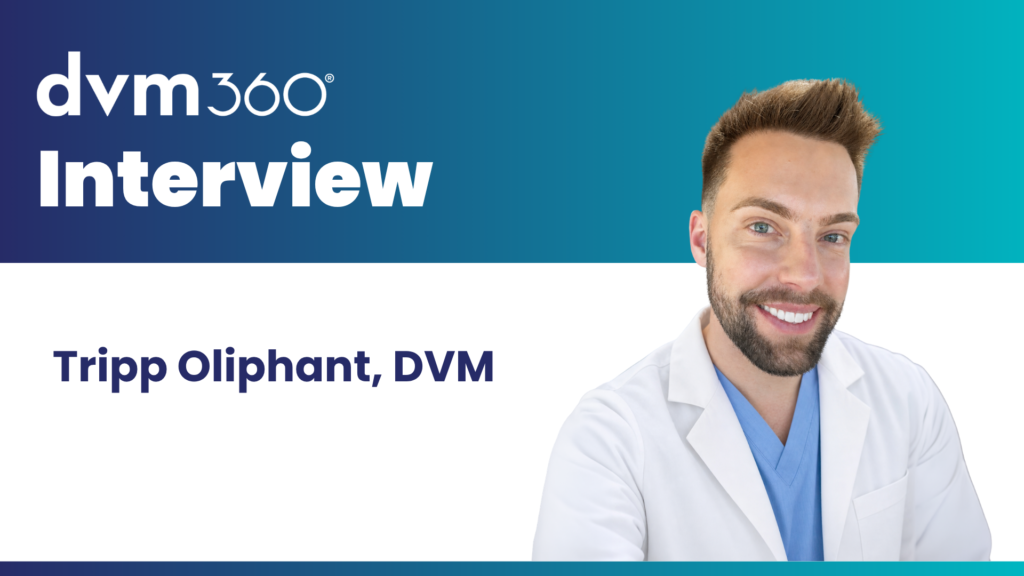 How an accepting hospital culture helped one veterinarian grow as a clinician