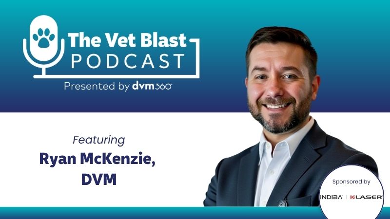In the Beam: Veterinary Laser Therapy