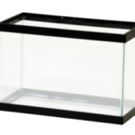 Can I Keep My Corn Snake in a Glass Fish Tank?