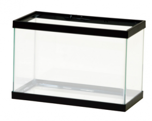 Can I Keep My Corn Snake in a Glass Fish Tank?