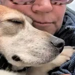 From Lab Dog to Beloved Family Member