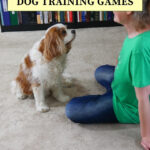 Fun Dog Training Games and Impulse Control Games for Dogs